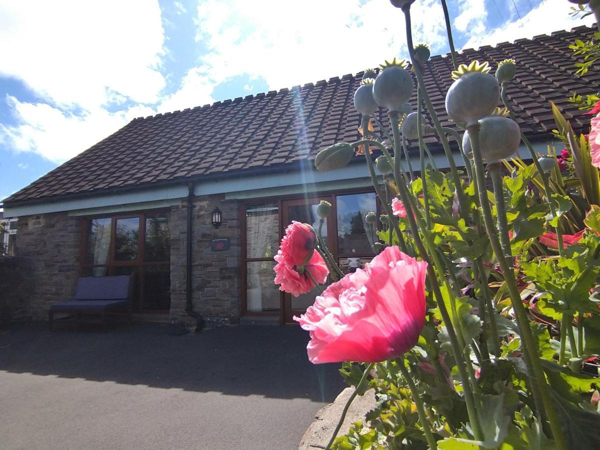 Tyncellar Farm Holiday Cottages Margam Exterior photo